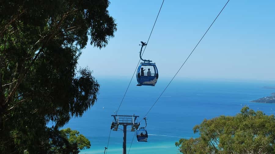 Arthurs Seat Eagle: Scenic Gondola Ride - Key highlights worth aiming for