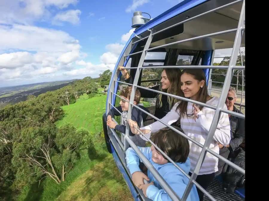 Arthurs Seat Eagle: Scenic Gondola Ride - A 30-minute dose of sky view: what the ride really feels like