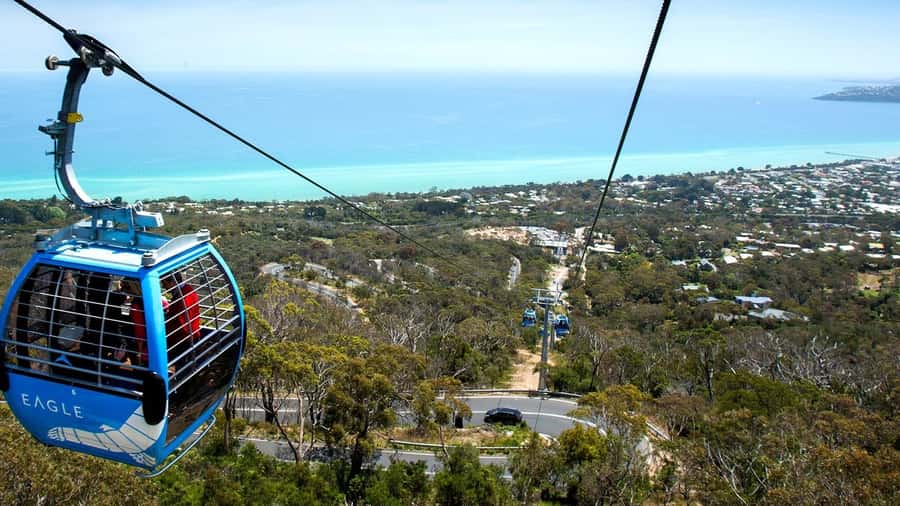 Arthurs Seat Eagle: Scenic Gondola Ride - Getting started at Arthurs Seat Eagle Base Station