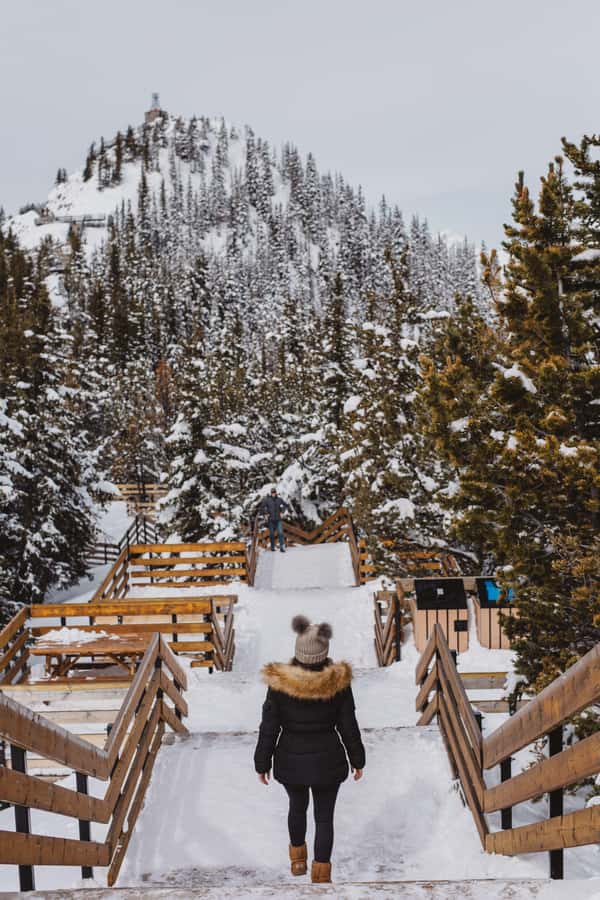 Banff: Banff Town, Gondola, and Johnston Canyon Day Tour - A Day That Blends Big Views With Real Walking