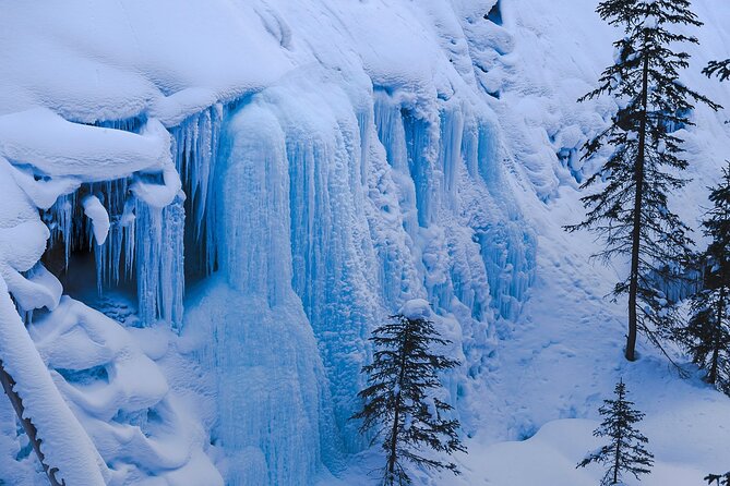 Banff Day Trip: Johnston Canyon, Fairmont Banff Springs, Gondola - Your Guide Setup in Banff: calm, bilingual, and ready to go