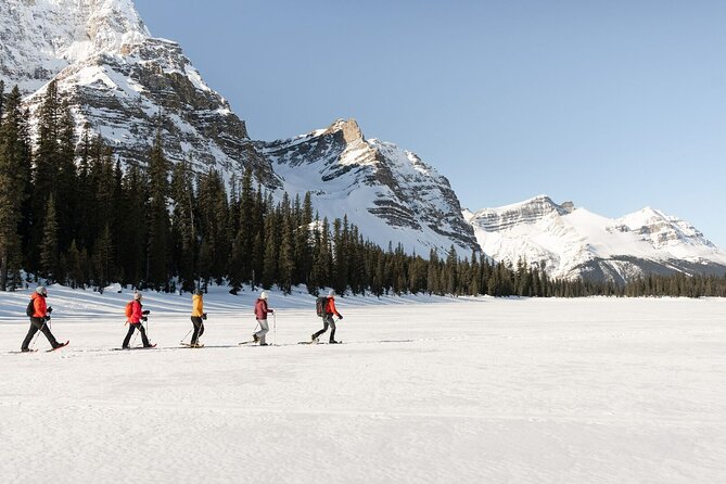 Banff Day Trip: Johnston Canyon, Fairmont Banff Springs, Gondola - Photo Stops that move fast but pay off: Hoodoo Viewpoint, Bow Falls, Surprise Corner