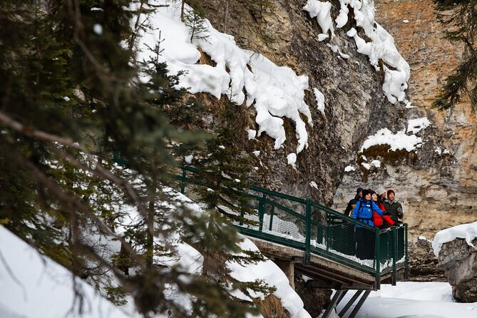 Banff Day Trip: Johnston Canyon, Fairmont Banff Springs, Gondola - Group size and comfort: why it can feel easy or occasionally tight