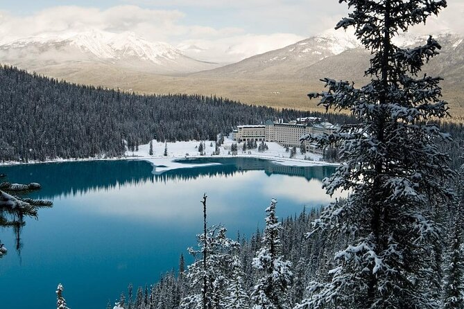 Banff Day Trip: Johnston Canyon, Fairmont Banff Springs, Gondola - Banff Gondola Optional Add-On: when the extra hour is worth it