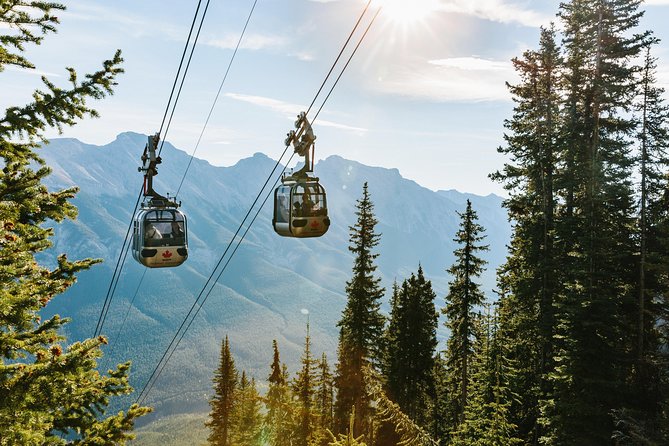 Banff Gondola Ride Admission - Why This Gondola Ride Works in Banff