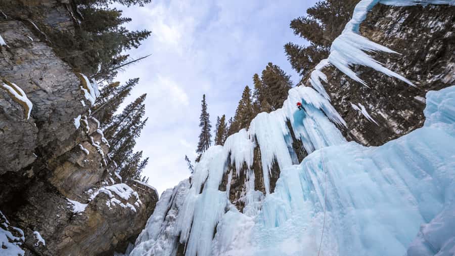 Banff: Gondola Ticket and Johnston Canyon Hiking Tour - Key highlights to look forward to