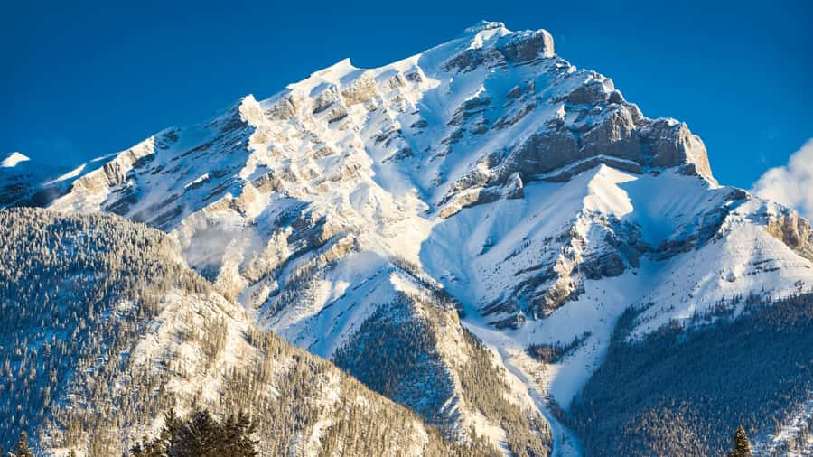 Banff: Gondola Ticket and Johnston Canyon Hiking Tour - Johnston Canyon catwalk hike: waterfalls plus limestone walls