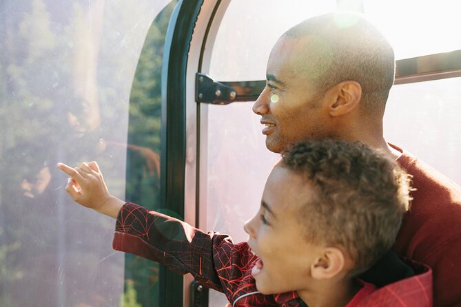 Banff Morning Tour Scenic Highlights and Gondola Ride - Bow Falls: A Short Stop That Hits Hard