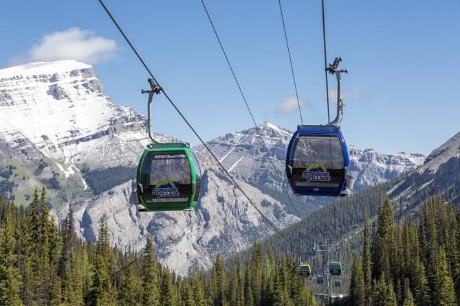 Banff Sunshine Village Gondola and Sightseeing - Key highlights worth planning around