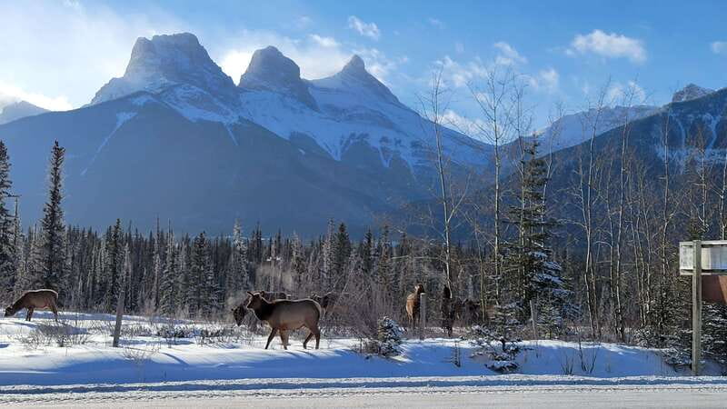 Calgary: Canmore, Banff, Lake Louise - Gondola Included - Guides, Laughter, and the Human Touch