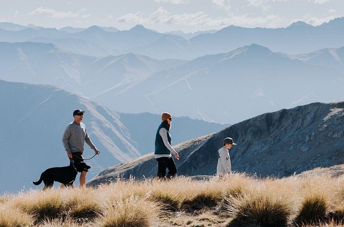 Cardrona Summer Gondola Sightseeing Pass - A value reality check for $21.72