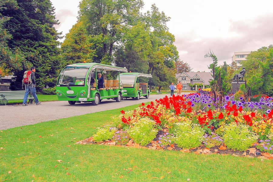 Christchurch Gondola and Tram City Tour Combo - Mt Cavendish Gondola: summit views plus Discovery Ride and Red Rock Café