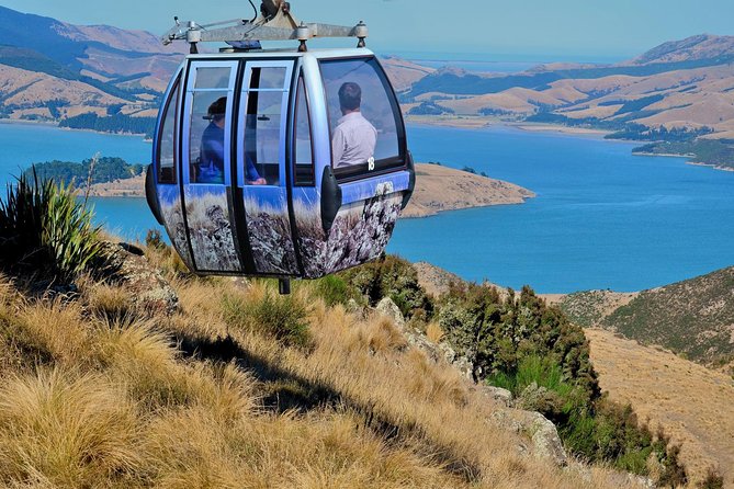 Christchurch Gondola Ride Ticket - Christchurch Gondola lift to Mt Cavendish: fast scenery with real geographic payoff