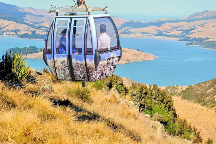 Christchurch: Gondola Ticket and Punt Ride on the Avon River - Timing, Crowds, and Getting There Without Getting Tired