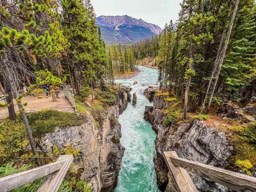 Emerald Lake, Lake Louise, Johnston Lake & Banff Gondola - Starting From Calgary, Banff, or Canmore: Easy Join Points