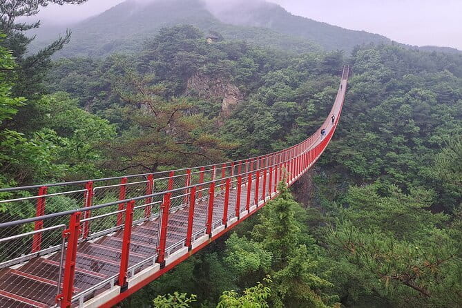 Explore DMZ from Seoul +(optional) Gondola/Red Suspension Bridge - Key Highlights You’ll Notice Right Away