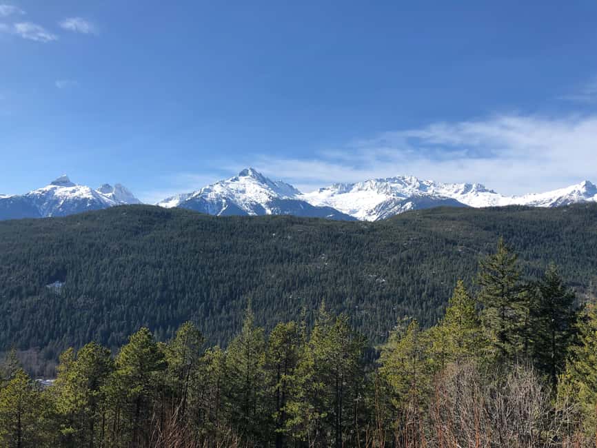 From Vancouver: Sea to Sky Gondola and Whistler Village Tour - Sea to Sky Gondola to Habrich Ridge: the main event, done thoughtfully