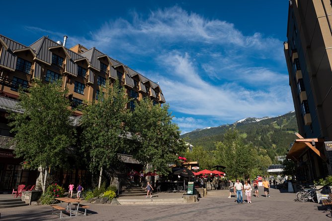 From Vancouver: Whistler & Sea to Sky Gondola with Shannon Falls - Sea to Sky Gondola at Habrich Ridge: Included Ride and Great Views