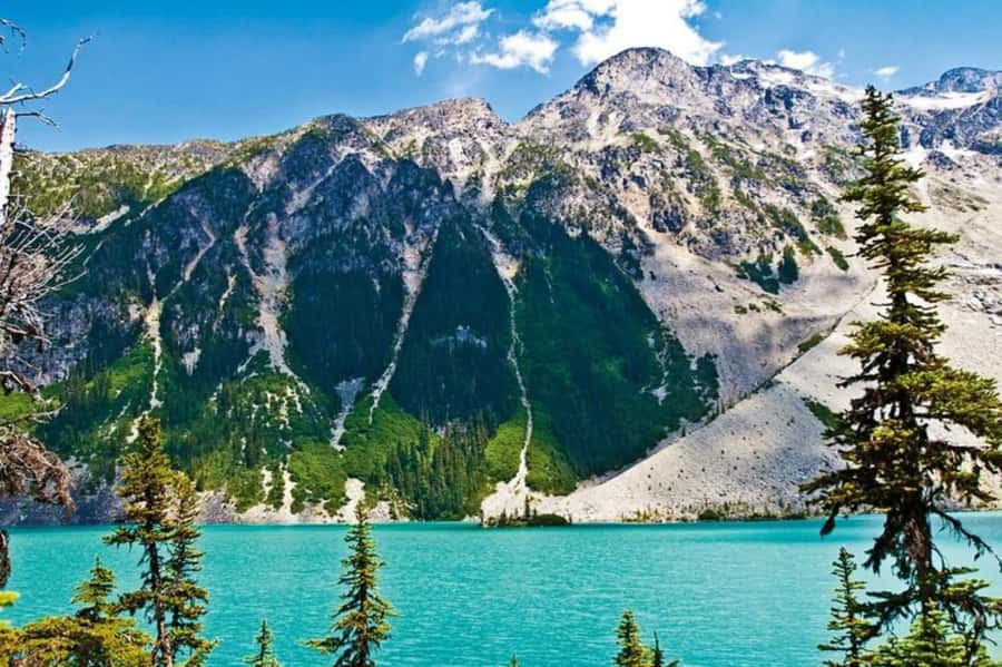 From Vancouver: Whistler Tour with Shannon Falls and Gondola - Key things to know before you go