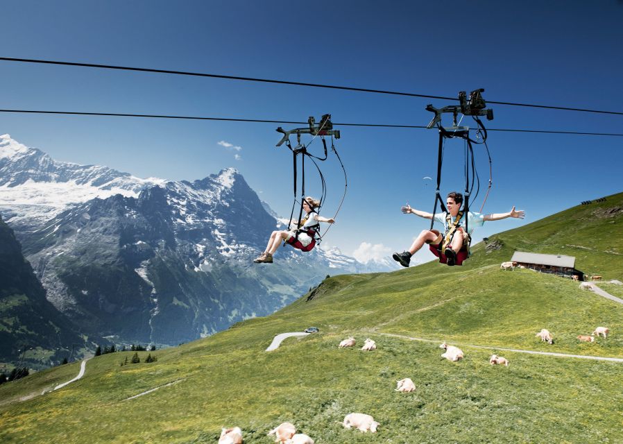 Grindelwald Gondola Ride to Mount First - Should you book the Grindelwald gondola to Mount First?