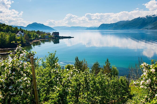 Guided tour - Hardangerfjord, Voss Gondola & 3 Great Waterfalls - A day out of Bergen built around fjord views and waterfalls