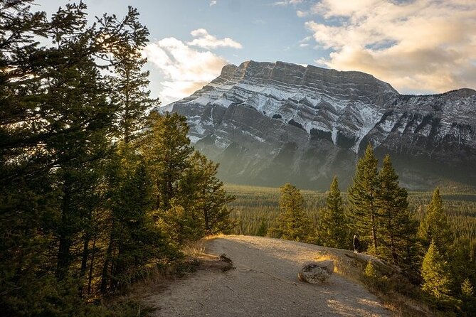 Guided Tour to Banff Highlights & Wildlife With Gondola Admission - Bow Falls and the Marilyn Monroe Film Connection