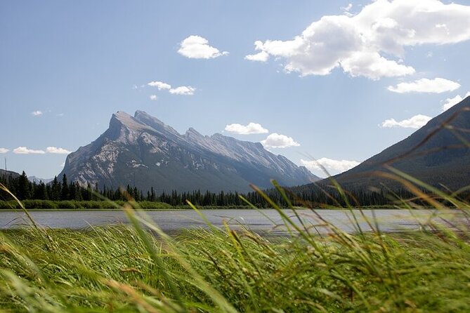 Guided Tour to Banff Highlights & Wildlife With Gondola Admission - Price and Logistics: Does $194.18 Actually Deliver Value?