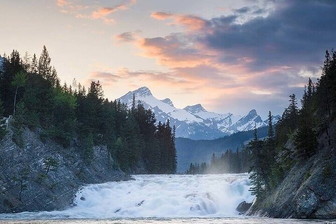 Guided Tour to Banff Highlights & Wildlife With Gondola Admission - Banff National Park Stops: Norquay to Lake Minnewanka
