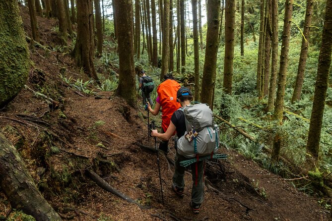 Guided Vancouver Hiking Highlights Day Tour with Gondola Download - Guide-led value: first-aid certified support and real pacing