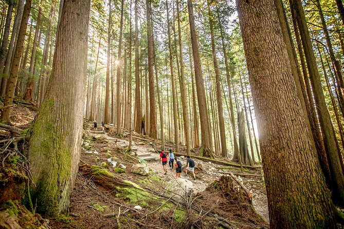 Guided Vancouver Hiking Highlights Day Tour with Gondola Download - Stanley Park drive: quick hits before the big climb