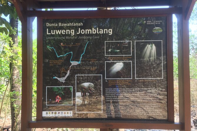 Kediwung Sunrise, Jomblang Cave, Timang Gondola Beach Day Tour - Jomblang Cave vertical adventure: 60 meters down, safety gear up