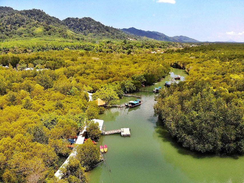 Ko Lanta: Private Gondola Cruise with Mangrove Forests - Guide style really changes how you experience the forest