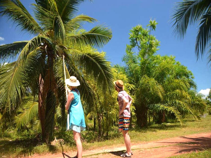 Ko Lanta: Private Gondola Cruise with Mangrove Forests - Price and value: what you’re paying for at $80 per person