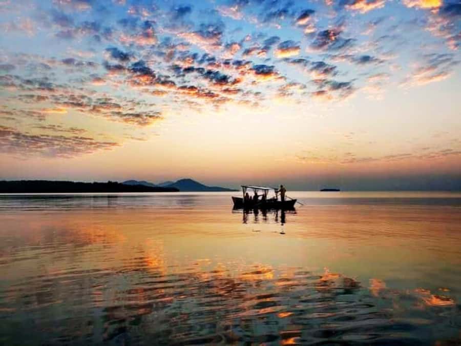 Ko Lanta: Sunrise Gondola Boat Ride with Breakfast - Back to the mangroves: macaques, mud, and more animal watching