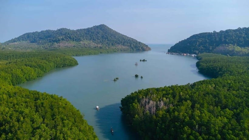 Koh Chang: Mangrove Forest Gondola Tour - Key Things I’d Focus On