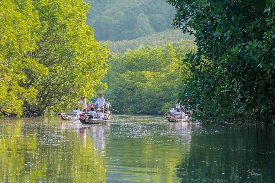 Koh Chang: Mangrove Forest Gondola Tour - What to Bring for a Comfortable Mangrove Glide