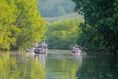 Koh Chang: Mangrove Forest Gondola Tour - Entering the Salak Khok Boat Tour Area (and Finding Your Boat)