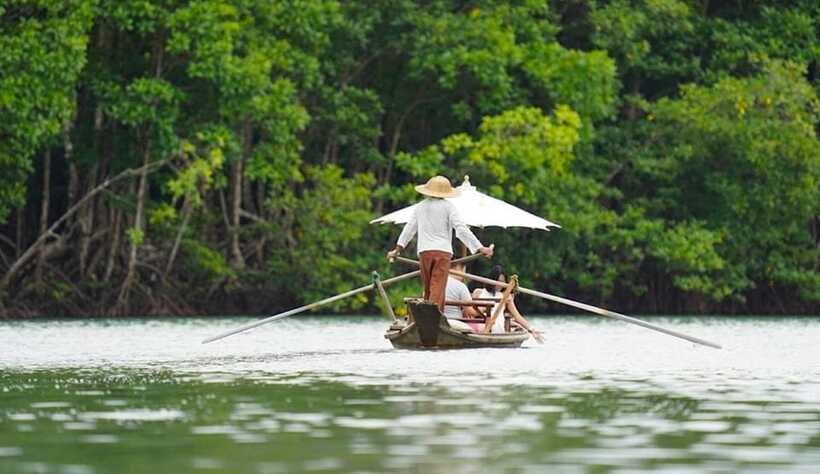 Koh Chang: Mangrove Forest Gondola Tour - Captain and Communication: Limited English, Clear Purpose