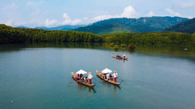 Koh Chang: Mangrove Forest Gondola Tour - Value for Money: What You’re Paying for (and Why It Makes Sense)