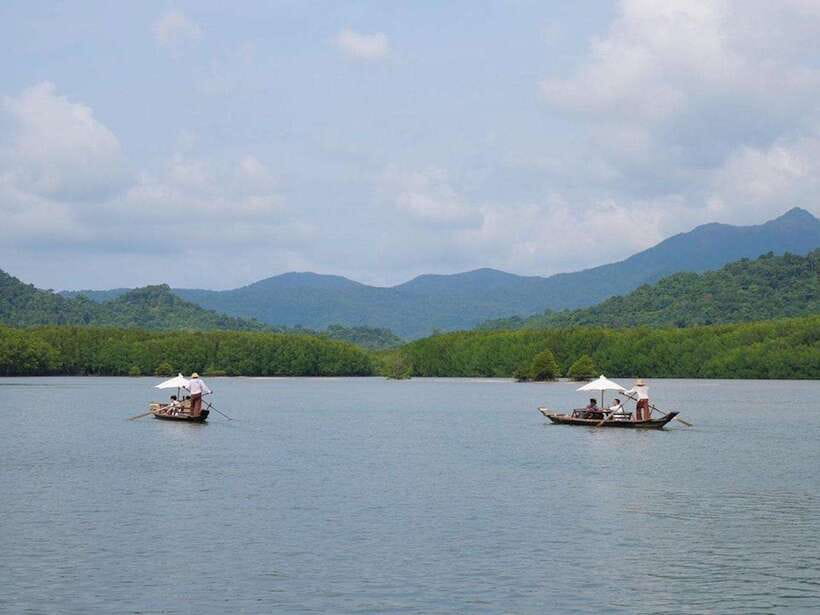 Koh Chang: Mangrove Forest Gondola Tour - Weather and Schedule Reality in Trat Province