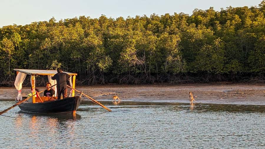 Koh Lanta: Romantic Sunrise Private Gondola Tour - Sunrise moment: what changes while you’re floating