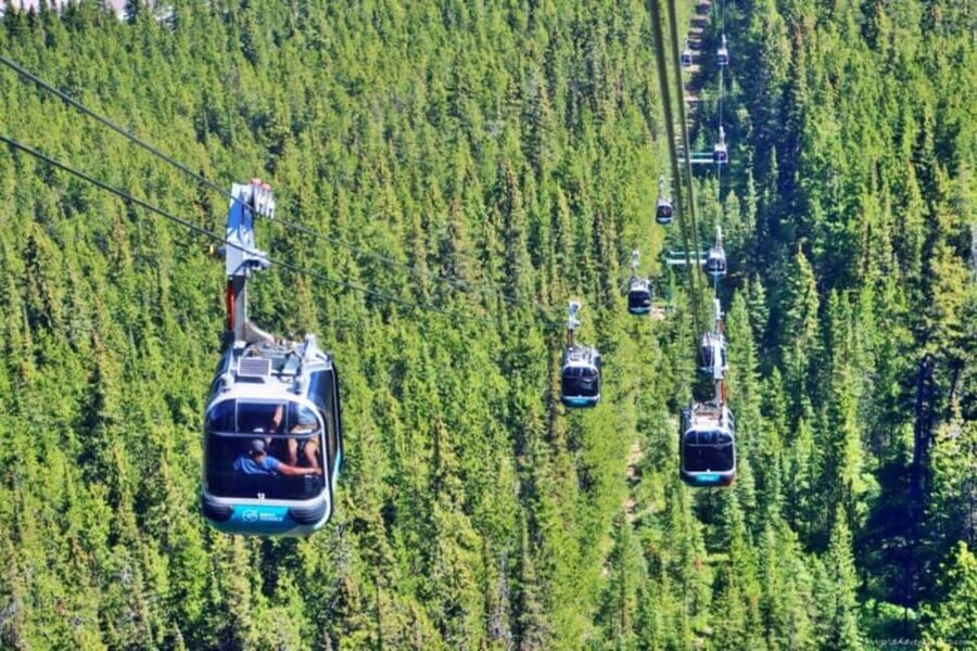 Louise Louise, Banff Gondola, Minnewanka & Emerald Lakes - Lake Louise: the turquoise icon, plus winter reality