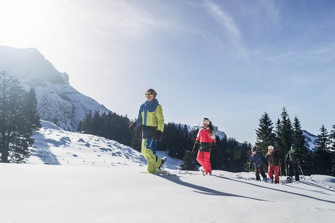 Mt. Pilatus Gondola and Aerial Cableway Ticket from Kriens - Value check: is the Mt. Pilatus Gondola ticket worth $83.60?