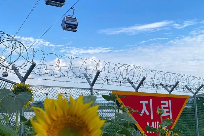 [Private] DMZ & Imjingak Peace Gondola Experience Inter-Korean War - The lunch and shopping stops: what they are, and how to not waste time
