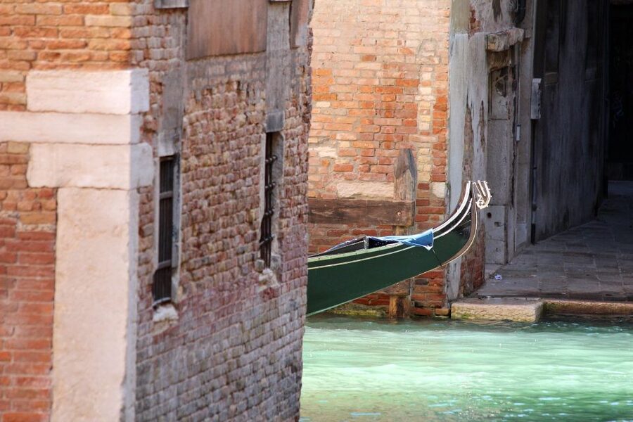 Private Venice Walking Tour and Gondola Ride - Price and value: $262.82 for walking plus a private gondola