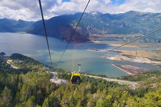 Private Whistler+ Sea 2 Sky Gondola +Shannon Fall+Green Lake Tour - Whistler Village Window: Shops, Plaza, and a Real Break