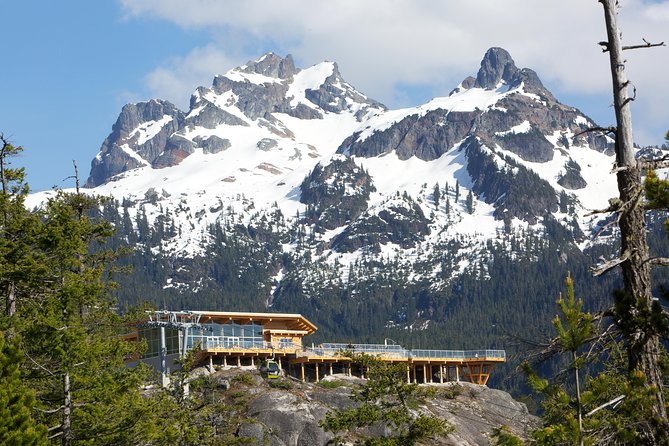 Sea to Sky Gondola Ticket - At the Summit: Suspension Bridge, Platforms, and Trails