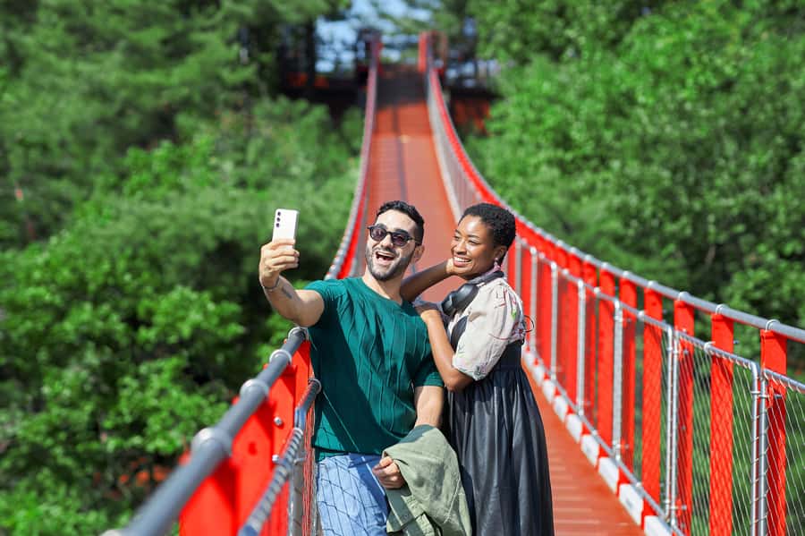 Seoul: DMZ Tour with Optional Suspension Bridge and Gondola - Key things to know before you go