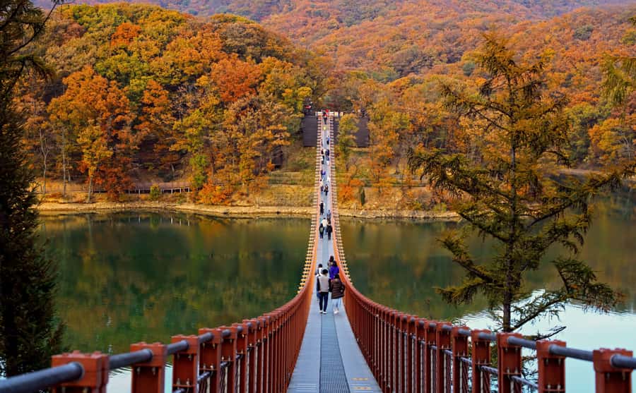 Seoul: DMZ Tour with Optional Suspension Bridge and Gondola - Picking your DMZ route: classic, gondola, and bridge add-ons