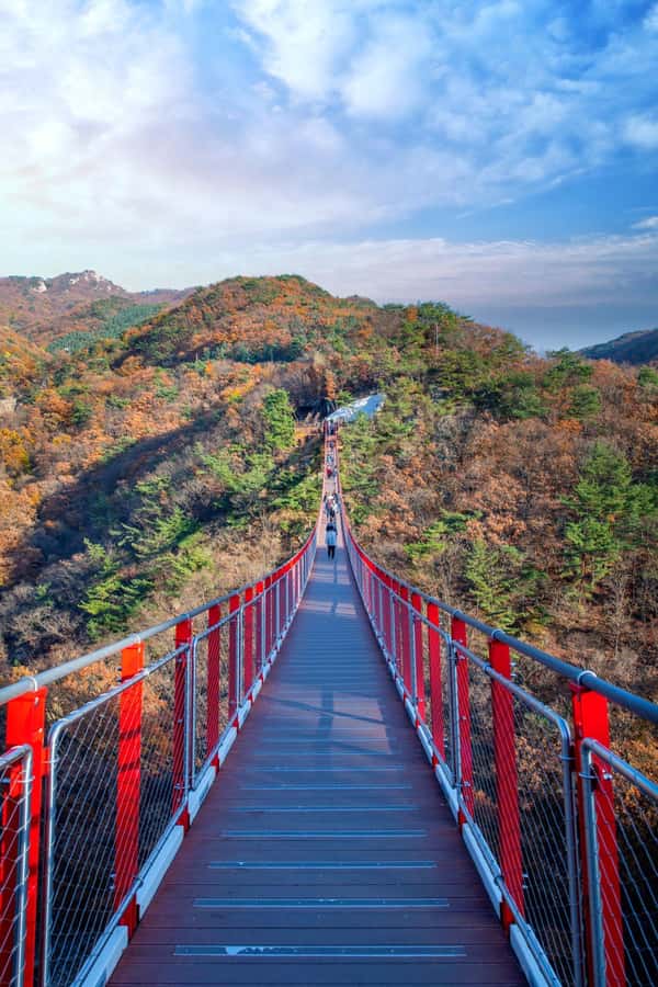 Seoul: DMZ Tour with Optional Suspension Bridge and Gondola - Peace Gondola: an aerial view that changes how you picture the area